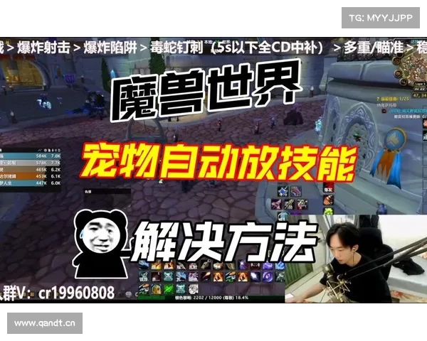 魔兽世界怀旧服：技能清除全攻略